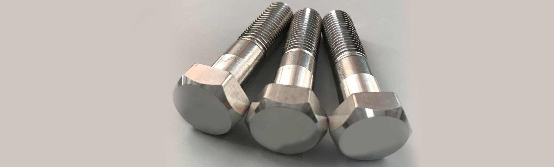 Stainless Steel 316 Hex Bolts